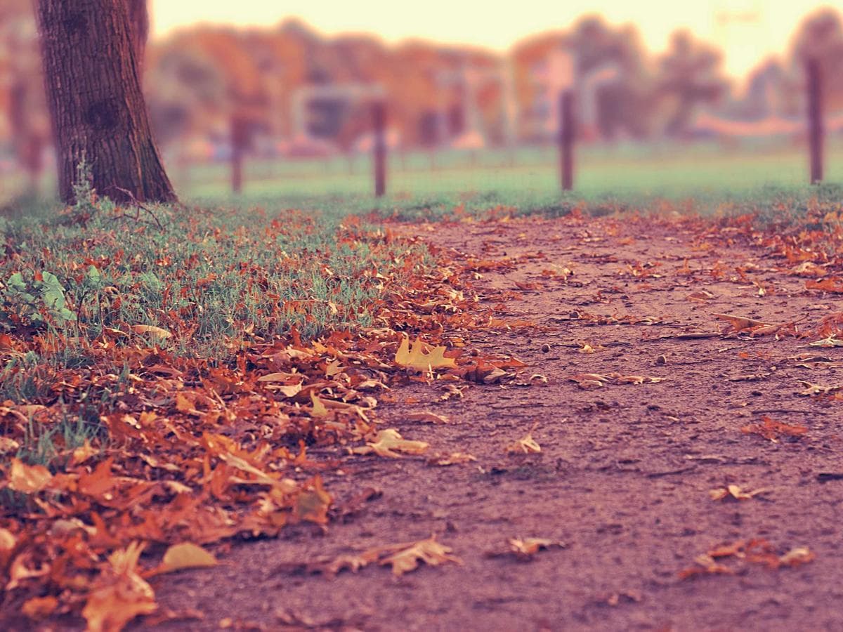 Hana Kim's portfolio