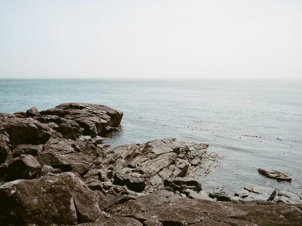 Omar Hassan's portfolio