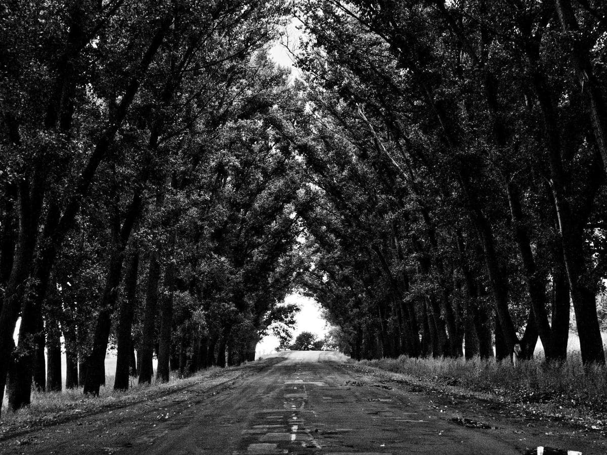 André Krüger's portfolio