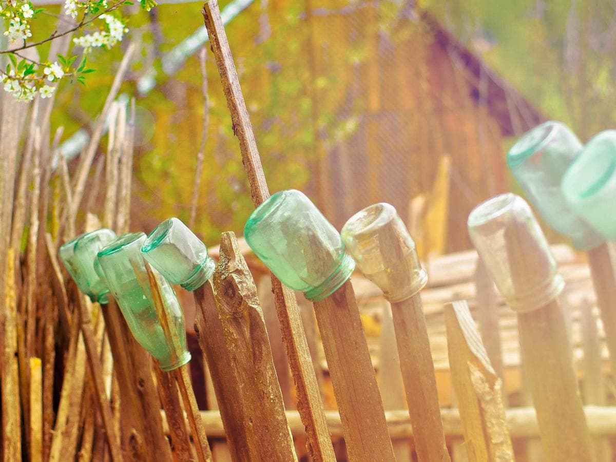 Kaito Nakamura's portfolio