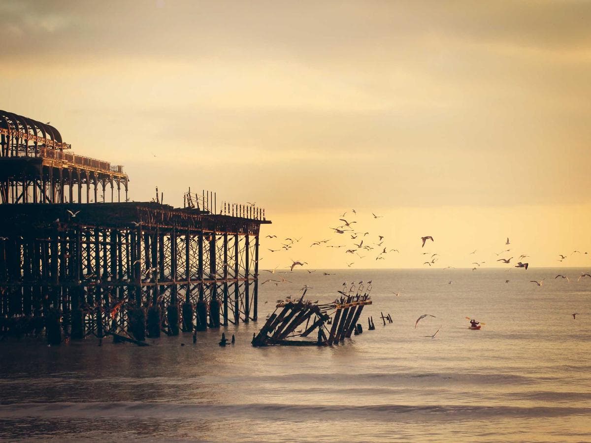 Marcus Lee's portfolio