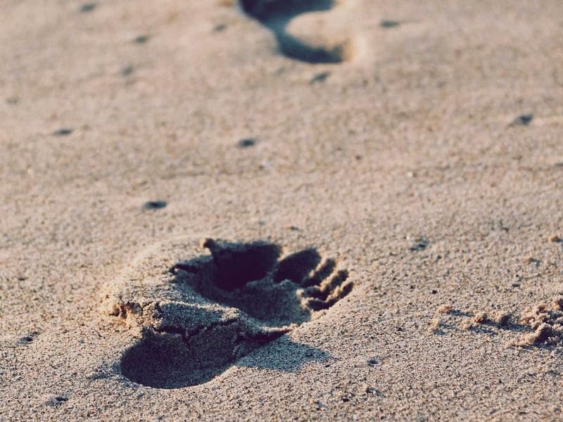 Rin Nakamura's portfolio screenshot