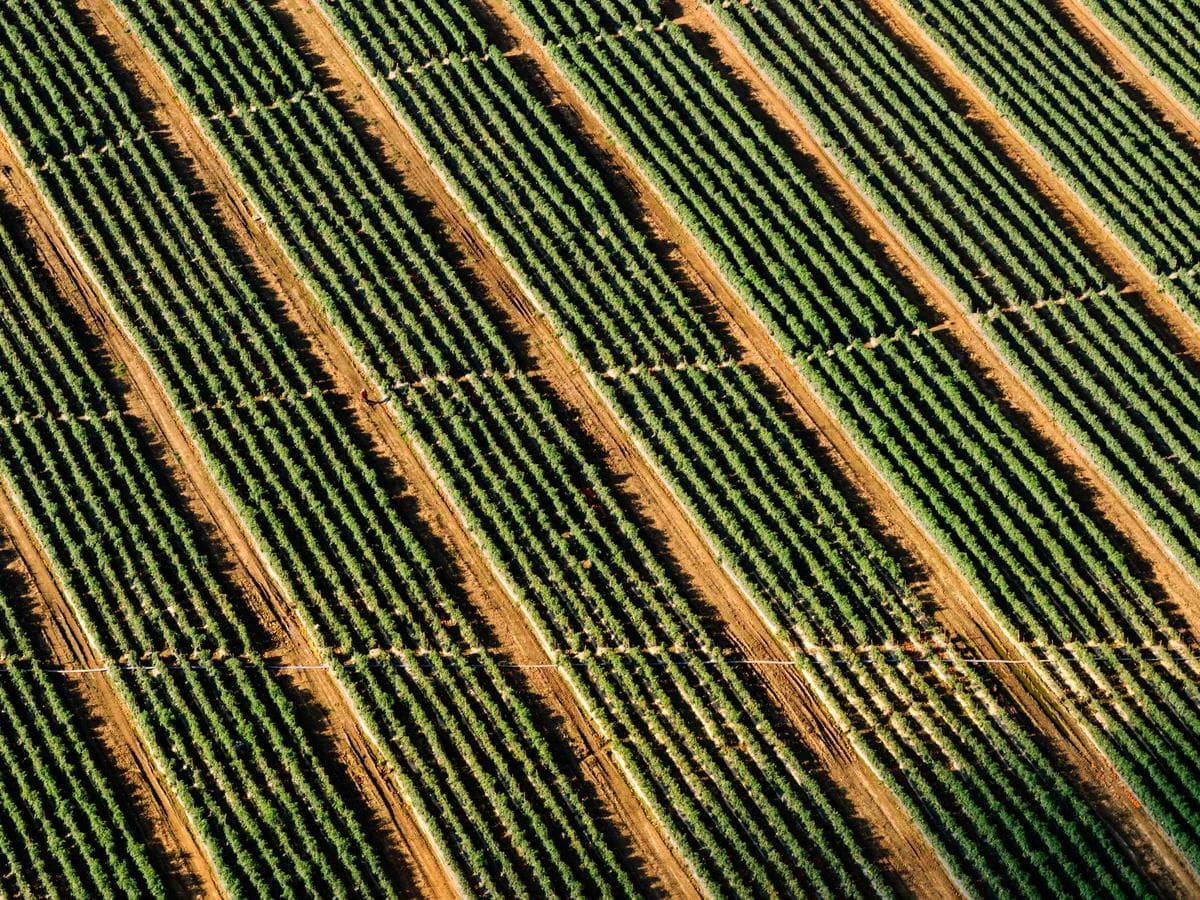 Aisha Ibrahim's portfolio