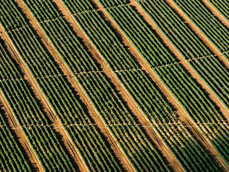 Aisha Ibrahim's portfolio screenshot