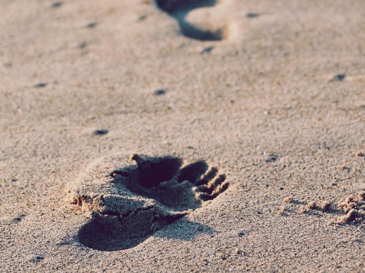 Felix Wagner's portfolio