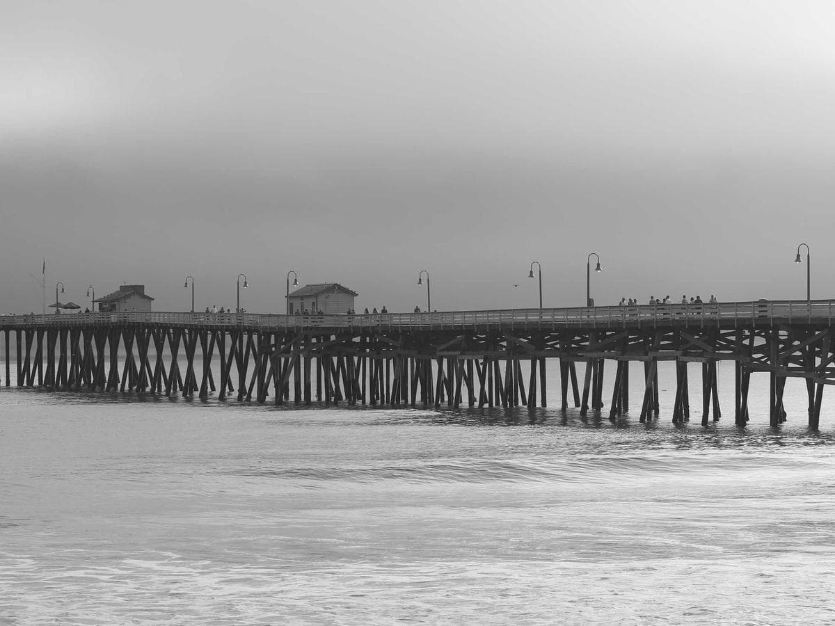 Claire Martin's portfolio