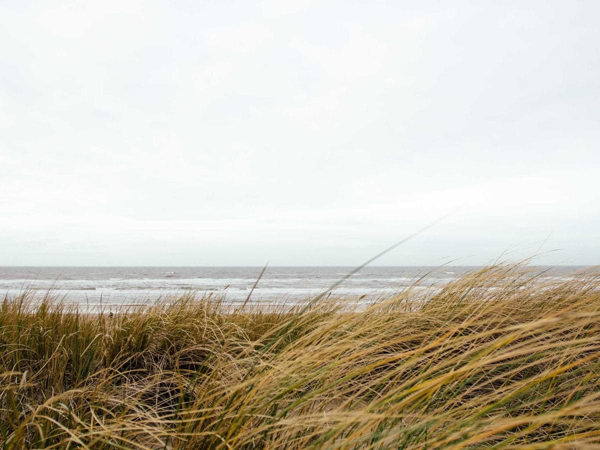 Ben Turner's portfolio