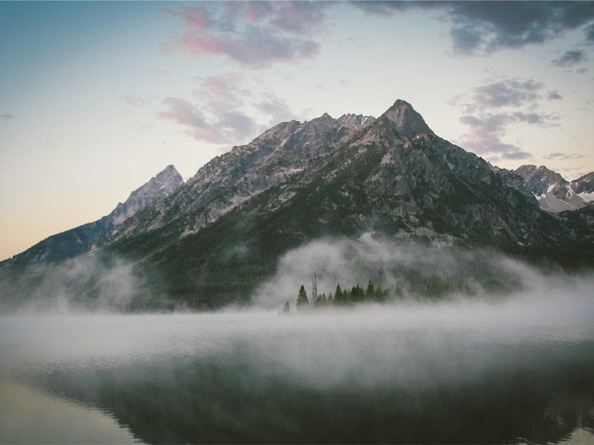 Chen Wei's portfolio