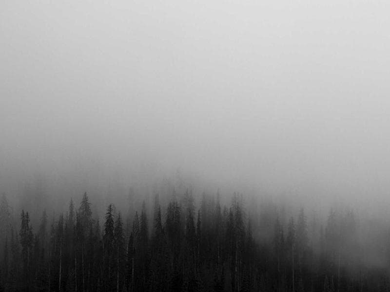 Diana Osei's portfolio screenshot