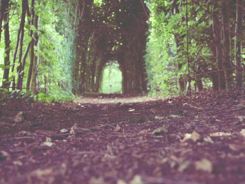 Ibrahim Al-Rashid's portfolio screenshot